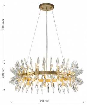 Подвесная люстра Favourite Rays 4058-14P в Губкинском - gubkinskiy.mebel24.online | фото 7
