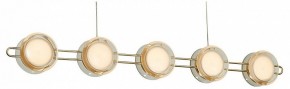 Подвесная люстра Favourite Yo-yo 4334-10P в Губкинском - gubkinskiy.mebel24.online | фото