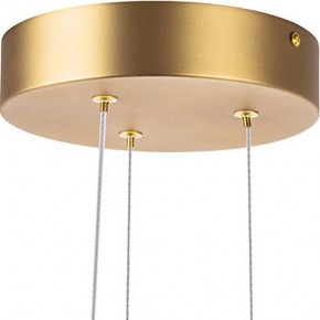 Подвесная люстра Lightstar Bergamo 745247 в Губкинском - gubkinskiy.mebel24.online | фото 6