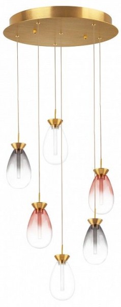Подвесная люстра Lightstar Colore 805169 в Губкинском - gubkinskiy.mebel24.online | фото