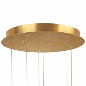 Подвесная люстра Lightstar Colore 805169 в Губкинском - gubkinskiy.mebel24.online | фото 6