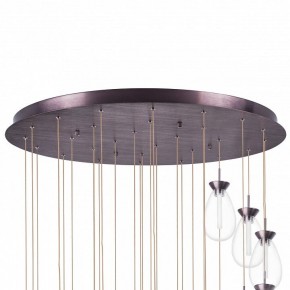 Подвесная люстра Lightstar Colore 805289 в Губкинском - gubkinskiy.mebel24.online | фото 6