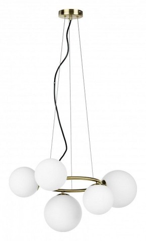 Подвесная люстра Lightstar Globo 815051 в Губкинском - gubkinskiy.mebel24.online | фото 2