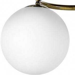 Подвесная люстра Lightstar Globo 815091 в Губкинском - gubkinskiy.mebel24.online | фото 3