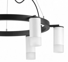 Подвесная люстра Lightstar Rullo LR0163661 в Губкинском - gubkinskiy.mebel24.online | фото 5