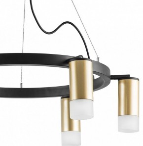 Подвесная люстра Lightstar Rullo LR0164061 в Губкинском - gubkinskiy.mebel24.online | фото 4