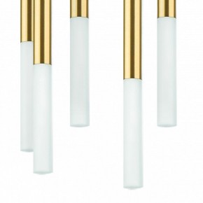 Подвесная люстра Lightstar Tubo L8T747133 в Губкинском - gubkinskiy.mebel24.online | фото 5