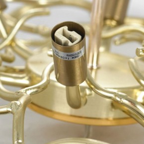 Подвесная люстра Lussole Adams LSP-8605 в Губкинском - gubkinskiy.mebel24.online | фото 5