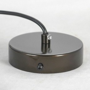 Подвесная люстра Lussole Downey LSP-8805 в Губкинском - gubkinskiy.mebel24.online | фото 6