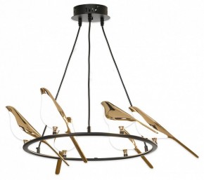 Подвесная люстра Lussole Jasper LSP-8641 в Губкинском - gubkinskiy.mebel24.online | фото 2