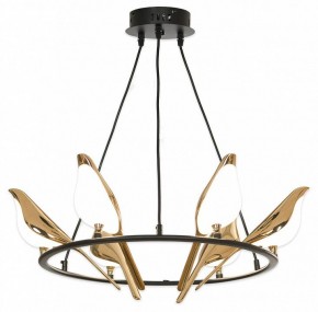 Подвесная люстра Lussole Jasper LSP-8641 в Губкинском - gubkinskiy.mebel24.online | фото 4