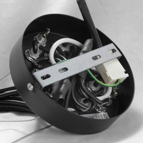 Подвесная люстра Lussole Seneca GRLSP-8177 в Губкинском - gubkinskiy.mebel24.online | фото 10