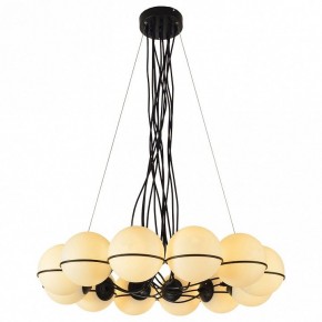 Подвесная люстра Lussole Seneca LSP-8177 в Губкинском - gubkinskiy.mebel24.online | фото