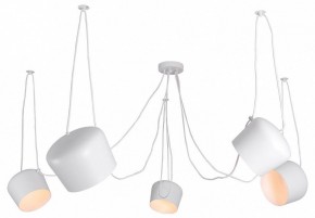 Подвесная люстра Lussole Shirley LSP-8175 в Губкинском - gubkinskiy.mebel24.online | фото