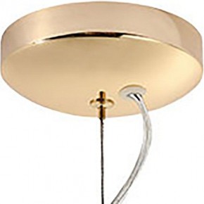 Подвесная люстра Lussole Star LSP-8334 в Губкинском - gubkinskiy.mebel24.online | фото 3