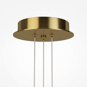 Подвесная люстра Maytoni Arana MOD401PL-L108BS3K в Губкинском - gubkinskiy.mebel24.online | фото 7