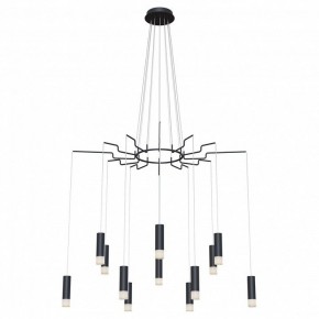 Подвесная люстра Maytoni Davida MOD035PL-12B в Губкинском - gubkinskiy.mebel24.online | фото 2