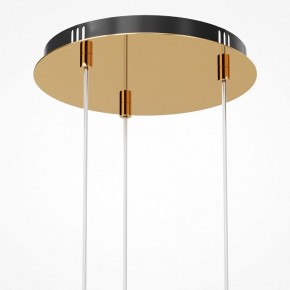 Подвесная люстра Maytoni Drop MOD273PL-L33G3K в Губкинском - gubkinskiy.mebel24.online | фото 6