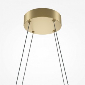 Подвесная люстра Maytoni Halo MOD244PL-L50BSK в Губкинском - gubkinskiy.mebel24.online | фото 4