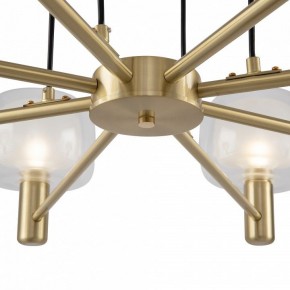 Подвесная люстра Maytoni Vision MOD411PL-08G в Губкинском - gubkinskiy.mebel24.online | фото 9
