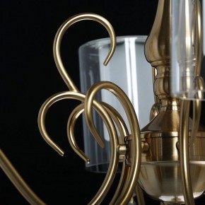 Подвесная люстра MW-Light Эллегия 8 303012708 в Губкинском - gubkinskiy.mebel24.online | фото 7