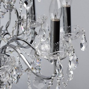 Подвесная люстра MW-Light Каролина 7 367013408 в Губкинском - gubkinskiy.mebel24.online | фото 16