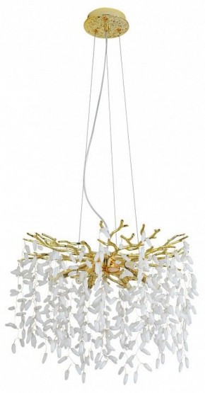 Подвесная люстра MW-Light Лайма 10 467012808 в Губкинском - gubkinskiy.mebel24.online | фото