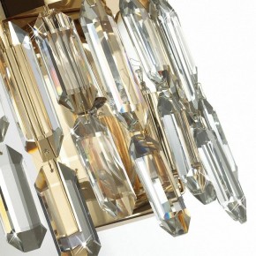 Подвесная люстра Odeon Light Dakisa 4986/12 в Губкинском - gubkinskiy.mebel24.online | фото 8