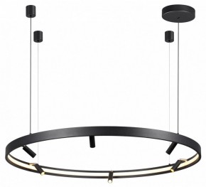 Подвесная люстра Odeon Light Fonda 4317/93L в Губкинском - gubkinskiy.mebel24.online | фото 4