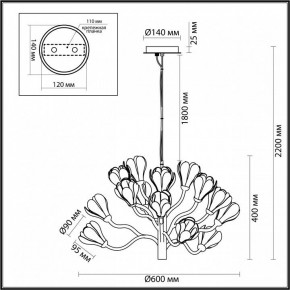Подвесная люстра Odeon Light Gardi 5090/15 в Губкинском - gubkinskiy.mebel24.online | фото 6