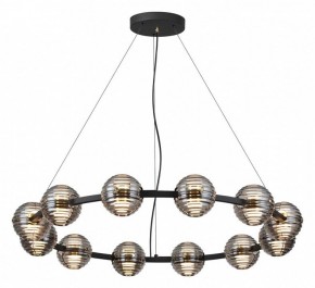 Подвесная люстра Odeon Light Troni 5041/120L в Губкинском - gubkinskiy.mebel24.online | фото 2