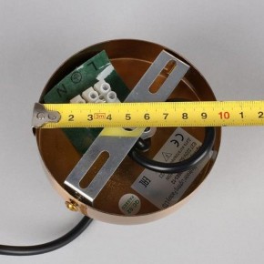 Подвесная люстра Omnilux Trevasco OML-59603-12 в Губкинском - gubkinskiy.mebel24.online | фото 10
