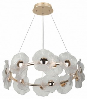 Подвесная люстра Rivoli Shannon Б0061947 в Губкинском - gubkinskiy.mebel24.online | фото 4