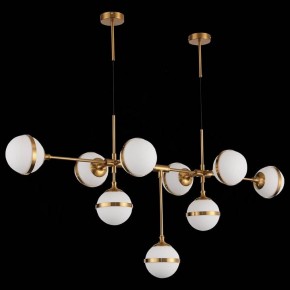Подвесная люстра ST-Luce Arbe SL1157.303.09 в Губкинском - gubkinskiy.mebel24.online | фото 4