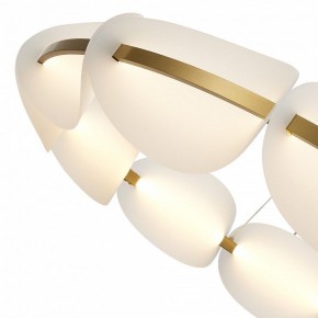 Подвесная люстра ST-Luce Etoile SL1304.203.65 в Губкинском - gubkinskiy.mebel24.online | фото 6