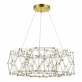 Подвесная люстра ST-Luce Gravetta SL6602.203.48 в Губкинском - gubkinskiy.mebel24.online | фото 3