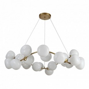 Подвесная люстра ST-Luce Sweven SL1519.303.24 в Губкинском - gubkinskiy.mebel24.online | фото 2