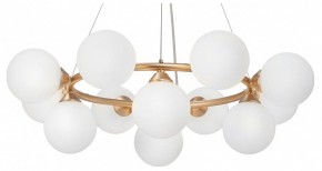 Подвесная люстра Vitaluce V48410 V48410-8/12S в Губкинском - gubkinskiy.mebel24.online | фото