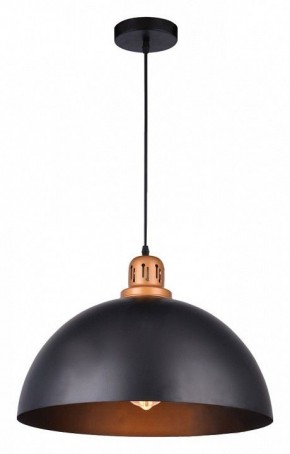 Подвесной светильник Arte Lamp Eurica A4249SP-1BK в Губкинском - gubkinskiy.mebel24.online | фото 2