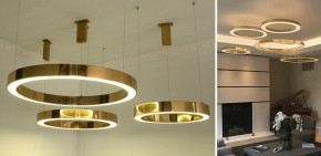 Подвесной светильник Imperiumloft Light Ring Horizontal 40.1454-100 в Губкинском - gubkinskiy.mebel24.online | фото 2