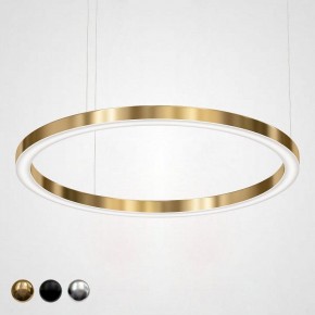 Подвесной светильник Imperiumloft Light Ring Horizontal 40.1454-120 в Губкинском - gubkinskiy.mebel24.online | фото