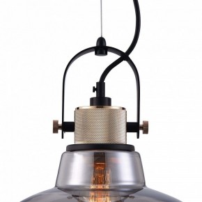 Подвесной светильник Maytoni Irving T163PL-01C в Губкинском - gubkinskiy.mebel24.online | фото 9