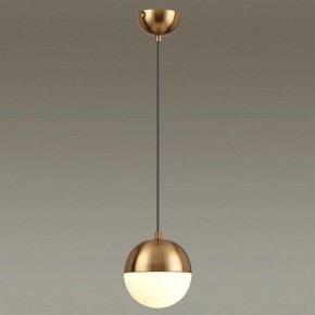 Подвесной светильник Odeon Light Pinga 4960/1 в Губкинском - gubkinskiy.mebel24.online | фото 2