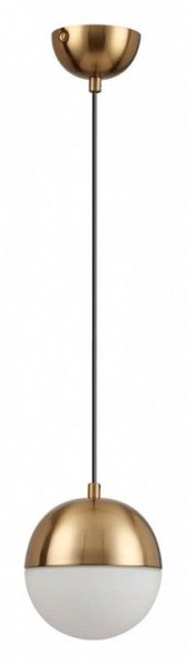 Подвесной светильник Odeon Light Pinga 4960/1 в Губкинском - gubkinskiy.mebel24.online | фото 3