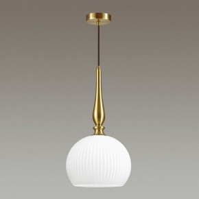 Подвесной светильник Odeon Light Runga 4766/1 в Губкинском - gubkinskiy.mebel24.online | фото 4