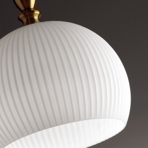 Подвесной светильник Odeon Light Runga 4766/1 в Губкинском - gubkinskiy.mebel24.online | фото 8