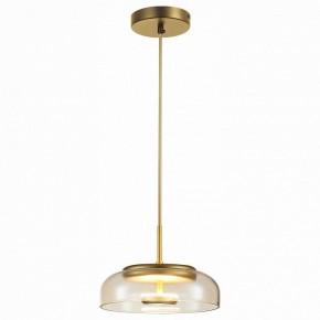 Подвесной светильник ST-Luce Lacio SL6002.203.01 в Губкинском - gubkinskiy.mebel24.online | фото