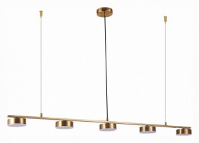 Подвесной светильник ST-Luce Pances SL6000.303.05 в Губкинском - gubkinskiy.mebel24.online | фото 2
