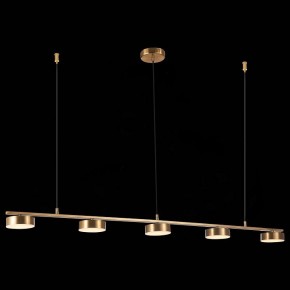 Подвесной светильник ST-Luce Pances SL6000.303.05 в Губкинском - gubkinskiy.mebel24.online | фото 5