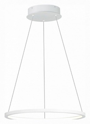 Подвесной светильник ST-Luce ST603 IN ST603.543.22 в Губкинском - gubkinskiy.mebel24.online | фото 3